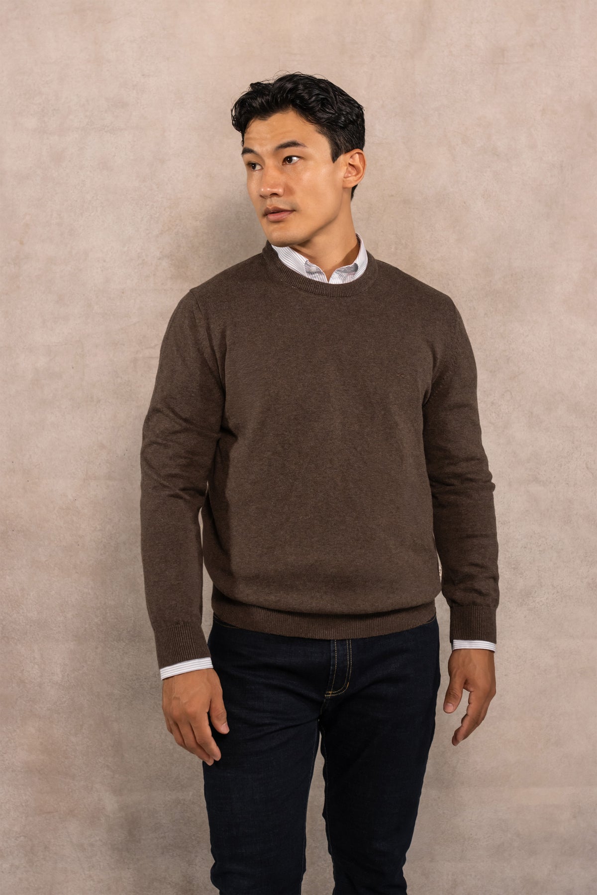 Suéter algodón peinado cuello redondo café para hombre marca DANTE regular fit foto principal