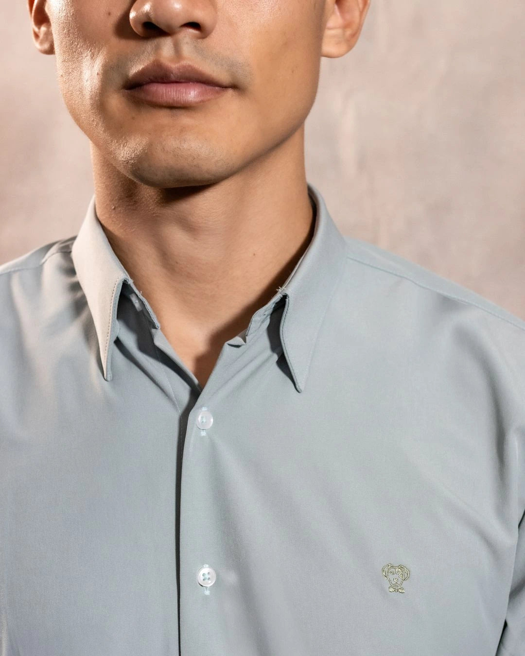 Camisa Performance verde sage antiarrugas para hombre marca DANTE tallaje regular fit foto logo