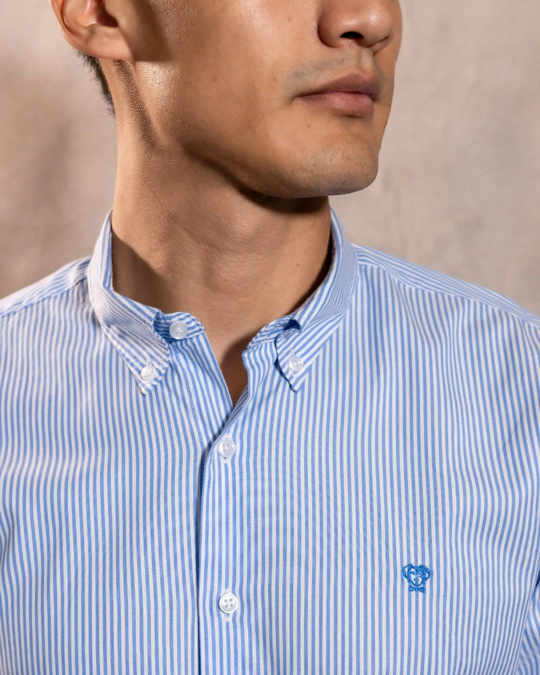 Camisa antimanchas Oxford Yale logo azul marca DANTE para hombre regular fit foto logo