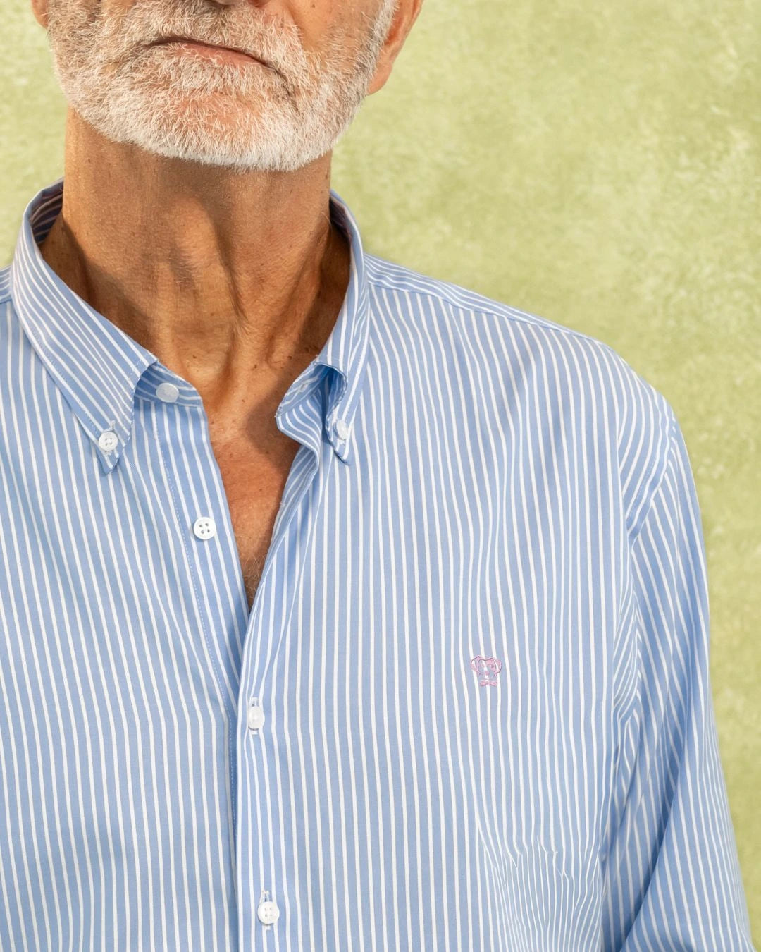 Camisa antimanchas tela algodon Oxford rayas color azul Princeton logo rosado para hombre marca regular fit DANTE foto logo