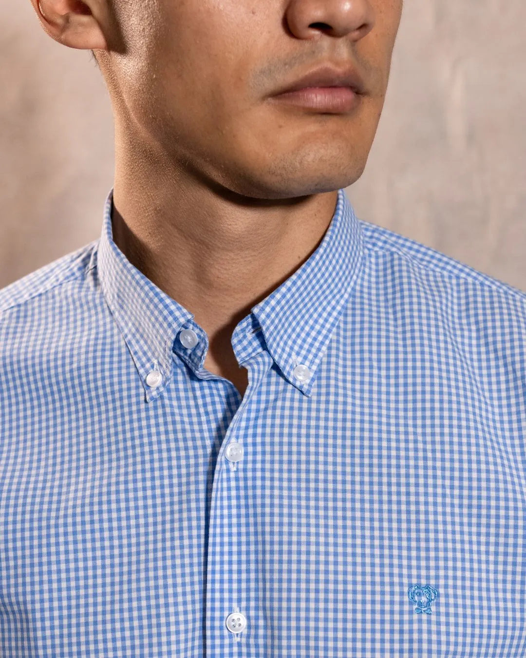 Camisa antimanchas Popelina Cuadros azul Claro para hombre marca DANTE tallaje regular fit foto logo