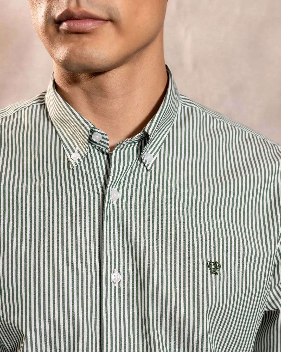 Camisa antimanchas Popelina Rayas Verde Oscuro para hombre marca DANTE tallaje regular fit foto logo