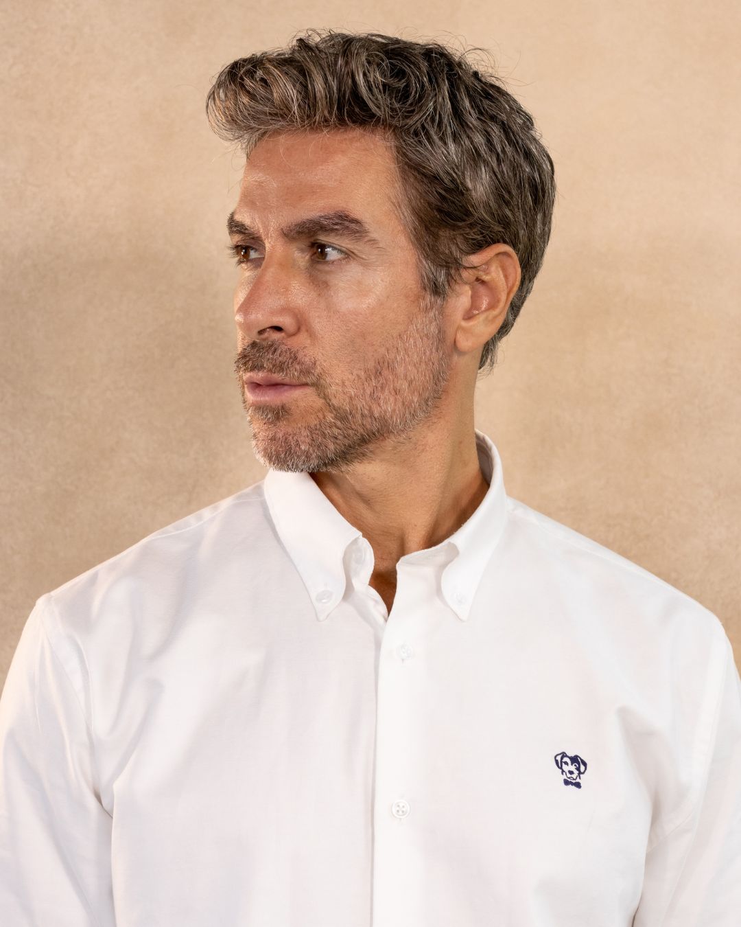 Camisa antimanchas tela algodón oxford color blanco logo azul oscuro para hombre marca DANTE foto cerca