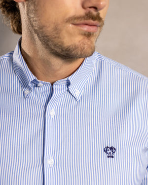 Camisa antimanchas tela algodon Oxford rayas color azul Yale para hombre marca regular fit DANTE foto logo
