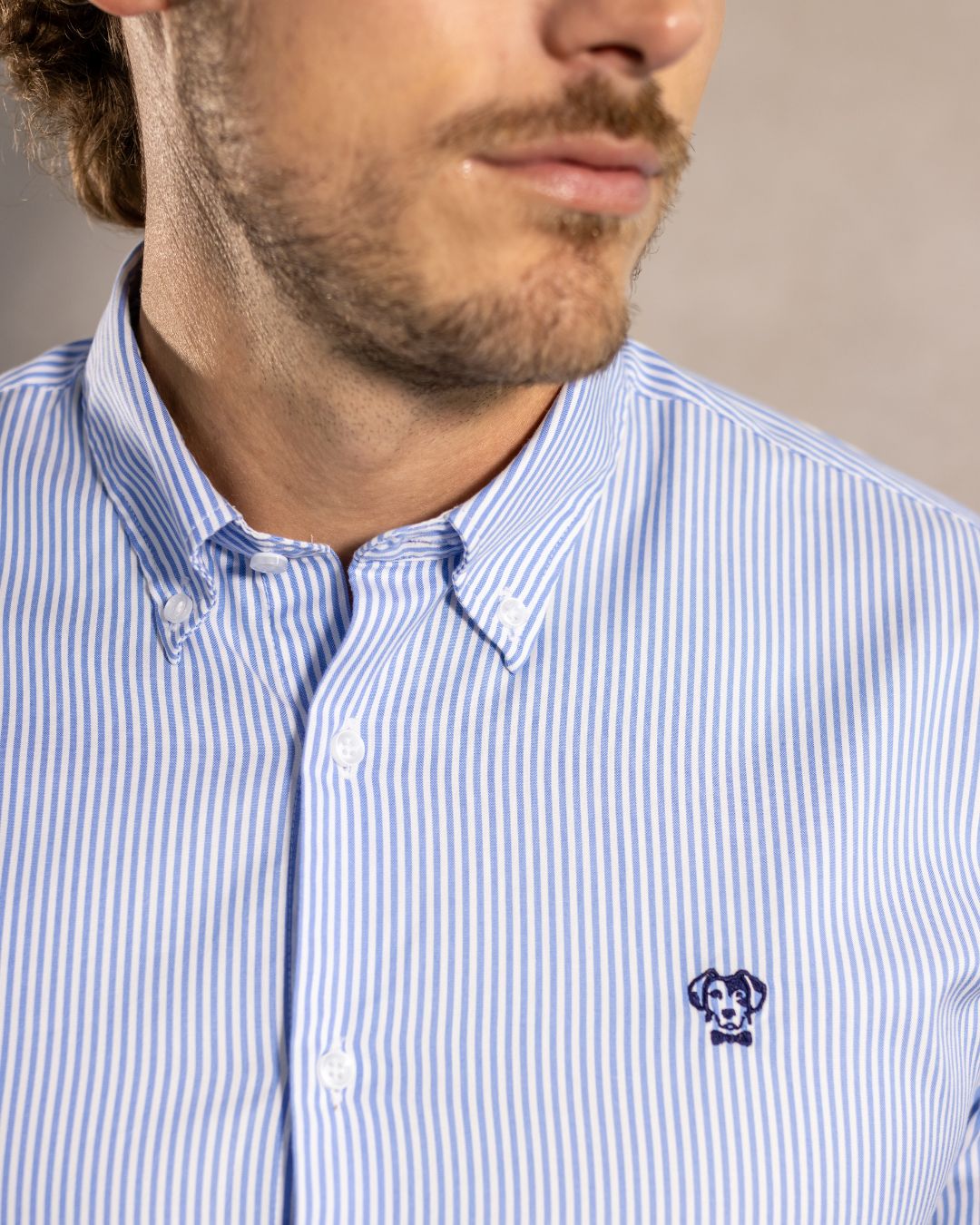 Camisa antimanchas tela algodon Oxford rayas color azul Yale para hombre marca regular fit DANTE foto logo