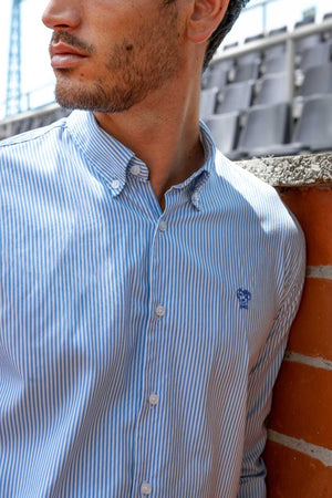 Camisa antimanchas tela algodon Oxford rayas color azul Yale para hombre marca regular fit DANTE foto modelo 4