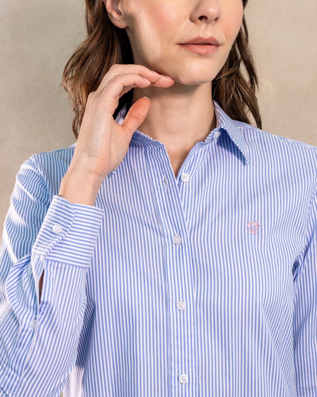 Camisa antimanchas tela algodon Oxford rayas color azul Yale para mujer marca regular fit DANTE foto manga