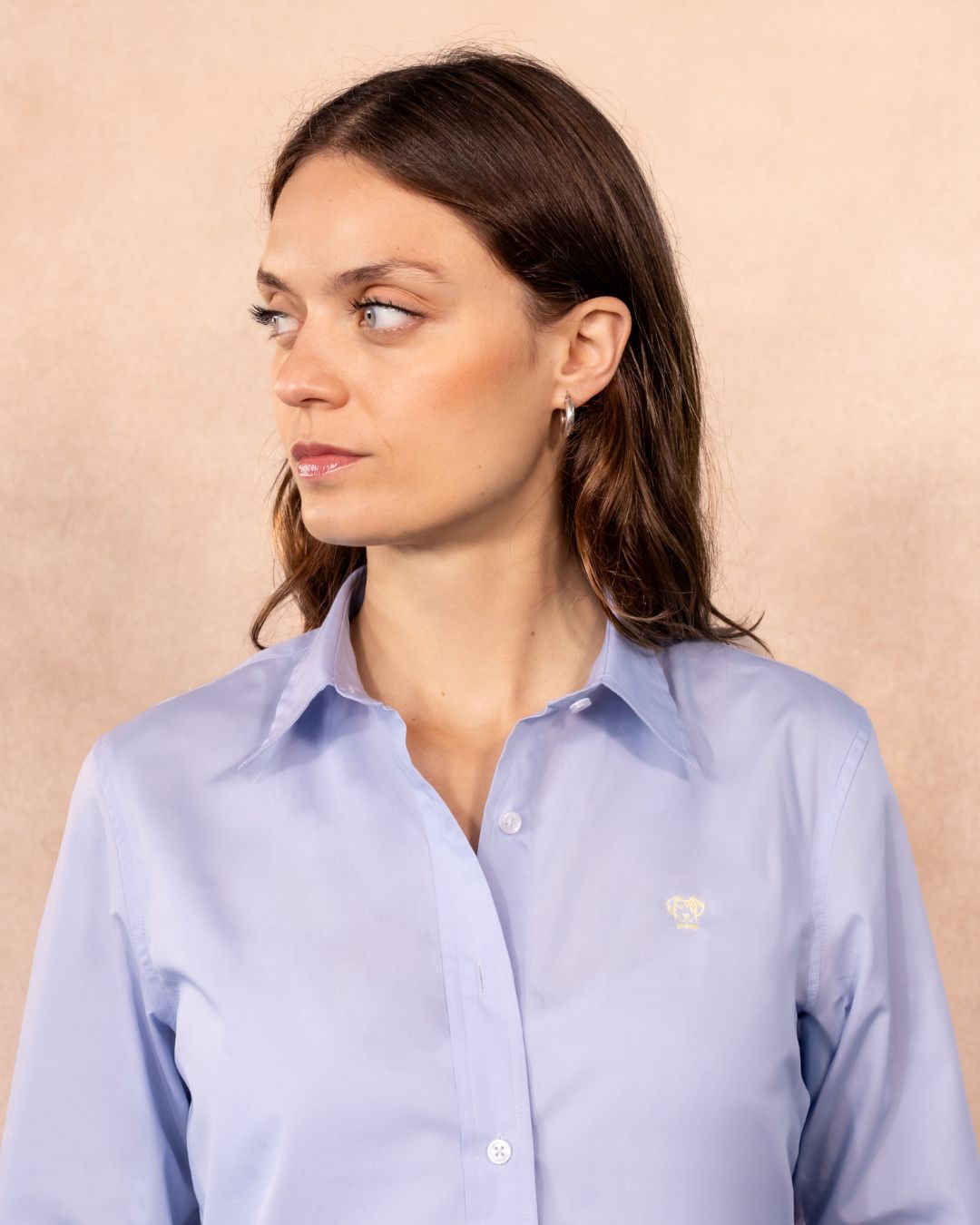 Camisa antimanchas tela algodon popelina color light Blue para mujer marca regular fit DANTE foto cerca
