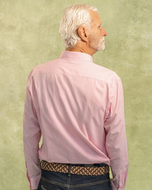 Camisa antimanchas tela algodon popelina rayas color rosado para hombre marca regular fit DANTE foto espalda