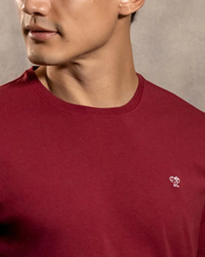 Camiseta antimanchas Vinotinto para hombre marca DANTE tallaje regular fit foto logo