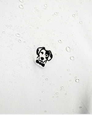 Camiseta antimanchas blanca talla regular algodón peruano marca DANTE foto logo