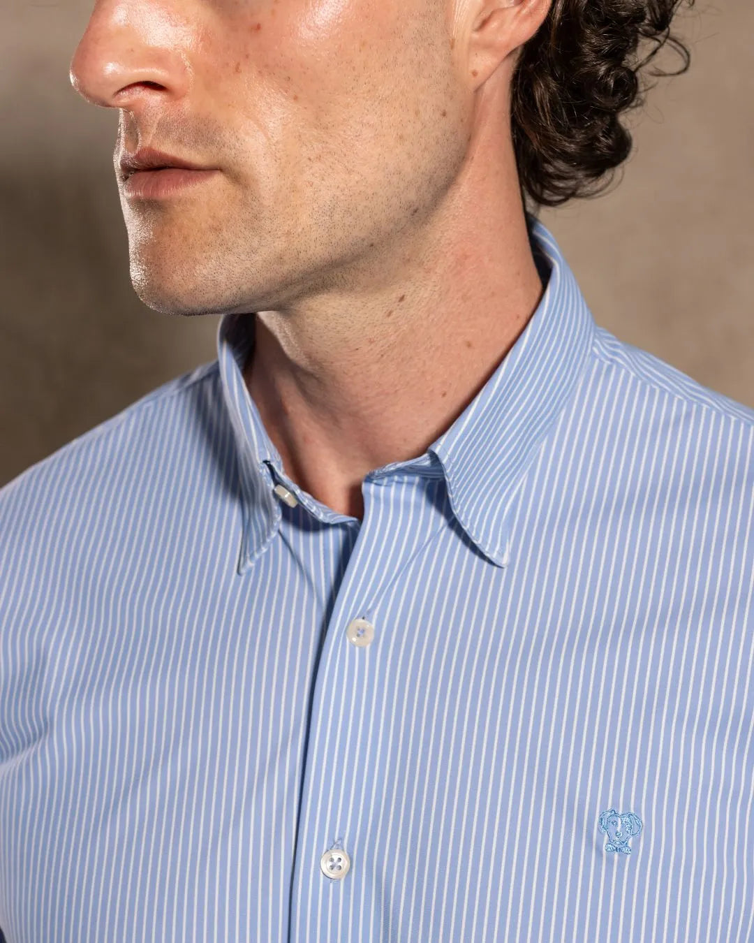Camisa Performance Rayas Blue Striped