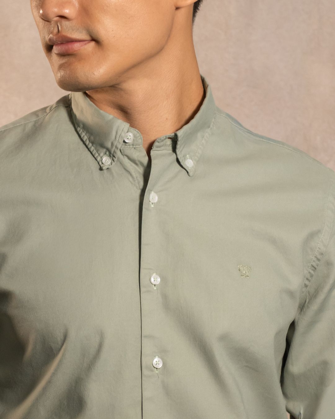 Camisa Antimanchas Oxford Verde Sage Logo Contraste - Talla Regular