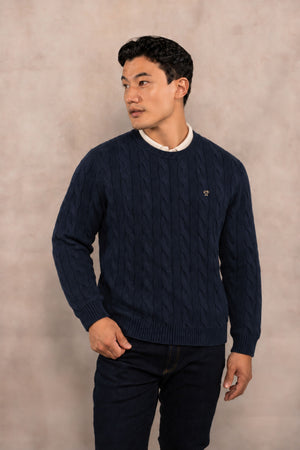 Suéter algodón peinado trenzado azul oscuro para hombre DANTE, vista frontal
