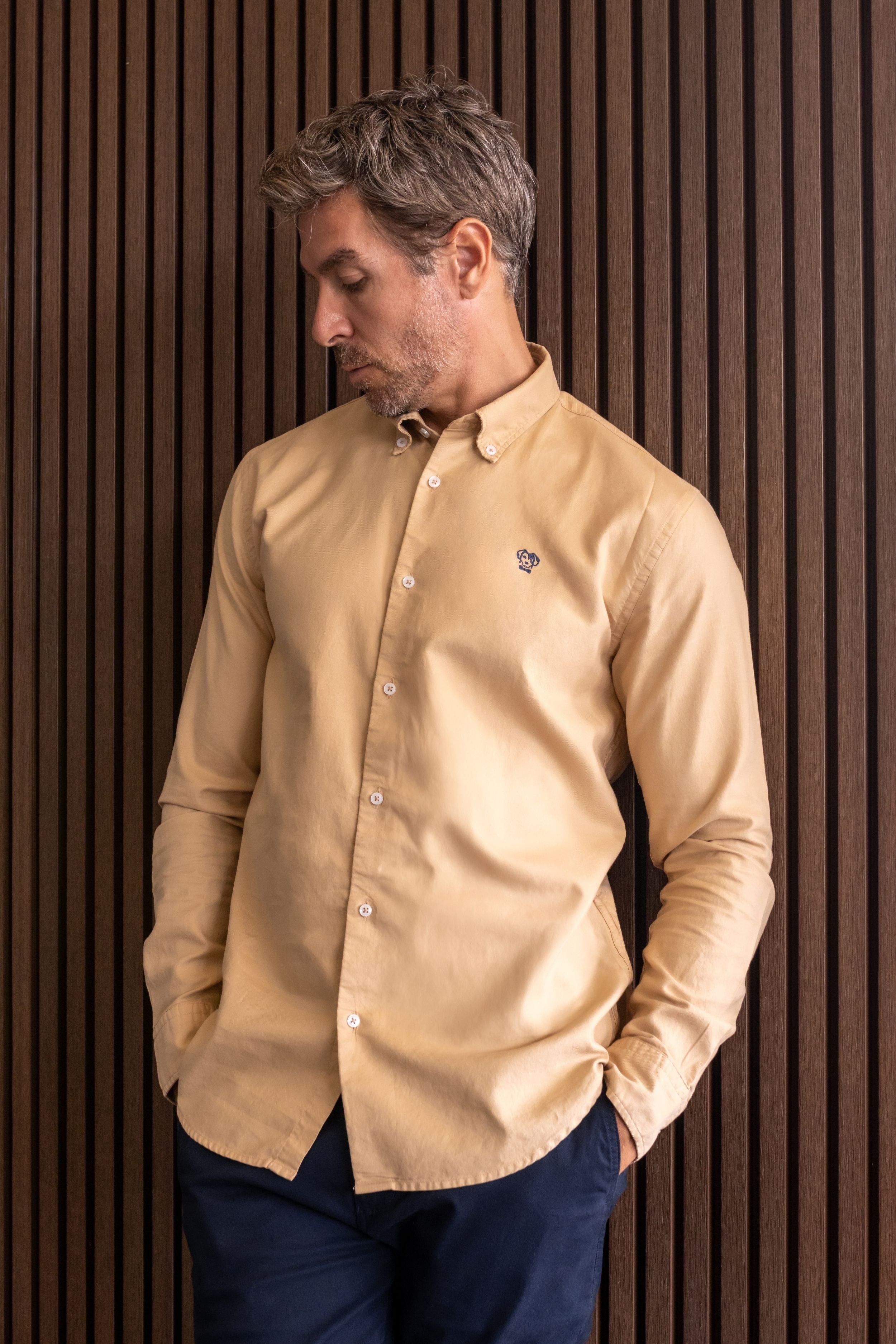 Camisa Antimanchas Oxford Arena - Talla Regular