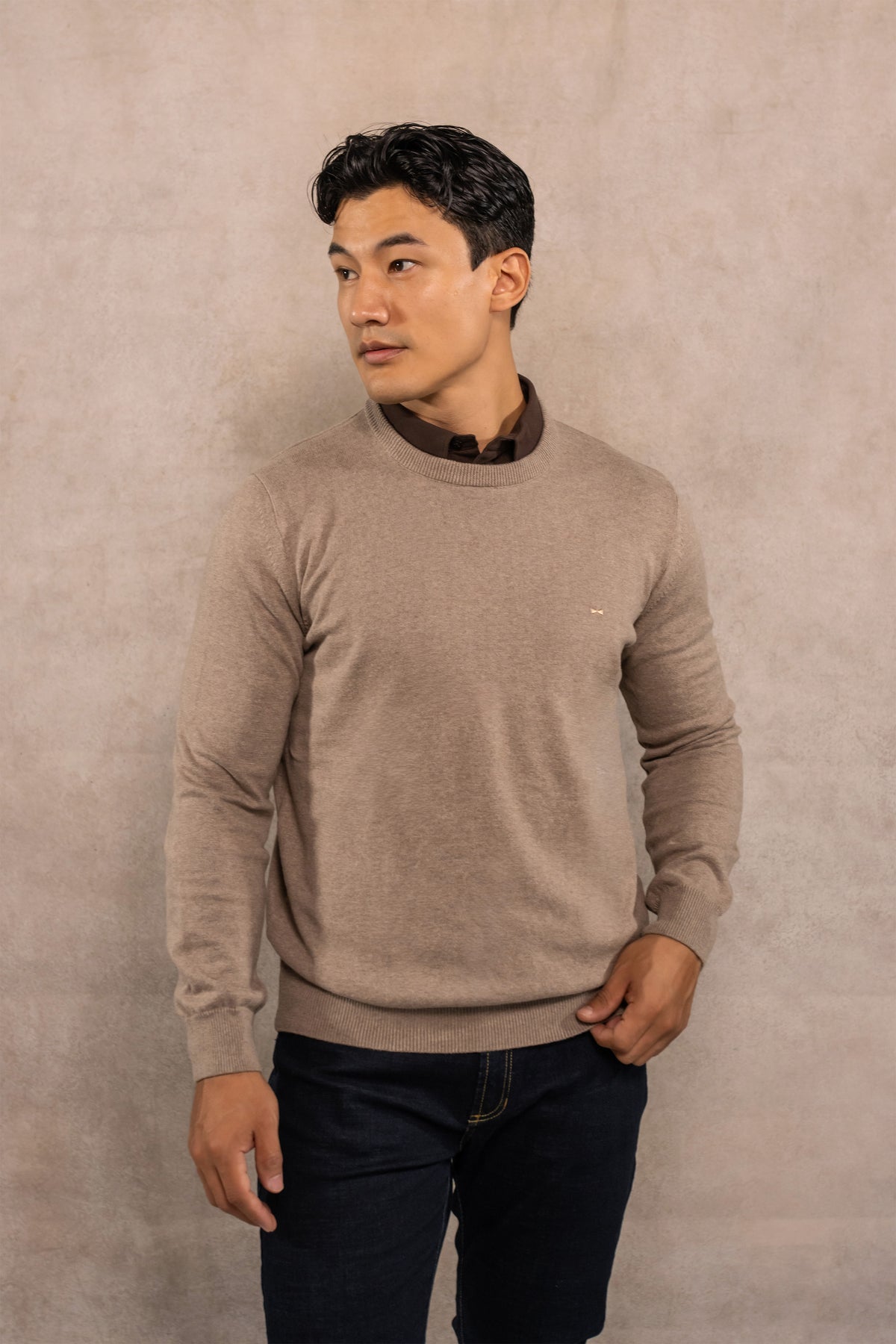 Suéter algodón peinado cuello redondo arena para hombre marca DANTE regular fit foto principal