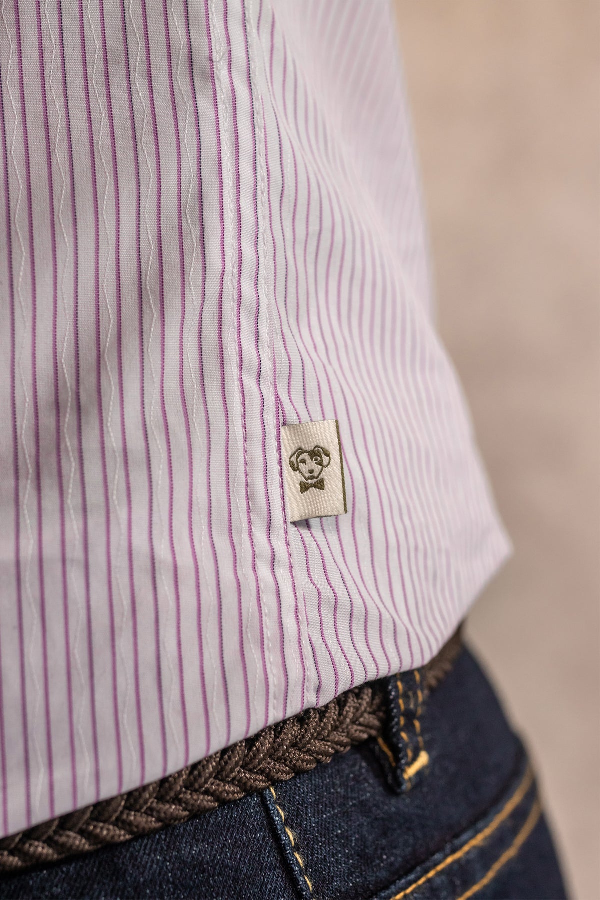 Camisa antimanchas popelina rayas lilac logo contraste para hombre marca DANTE regular fit foto detalle logo