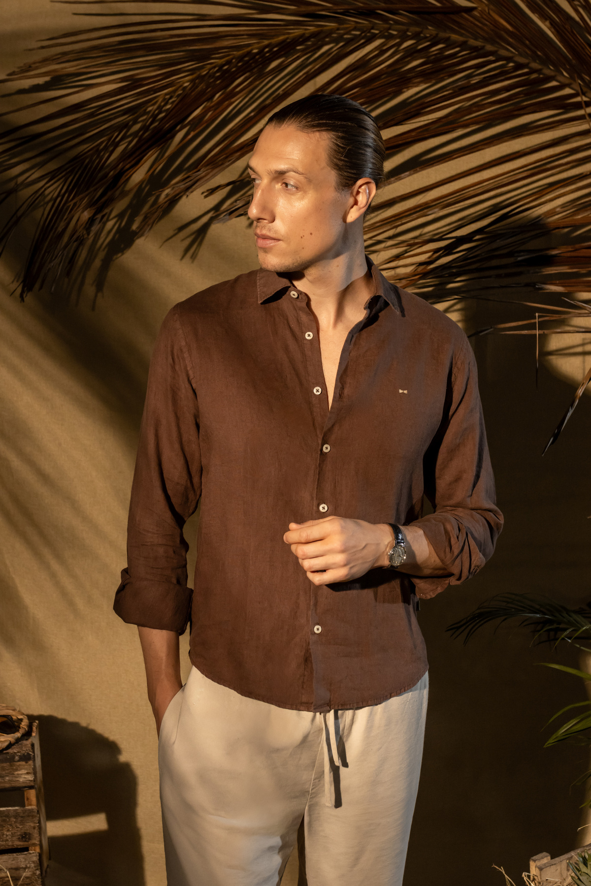 Camisa Lino Expresso