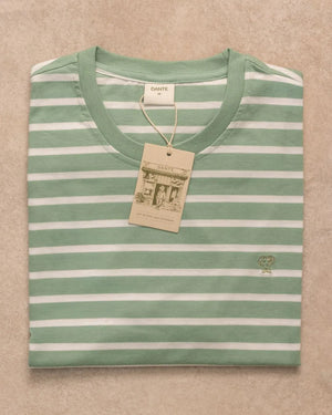 Camiseta antimanchas Rayas Verde Sage mujer marca DANTE tallaje relaxed fit foto prenda 
