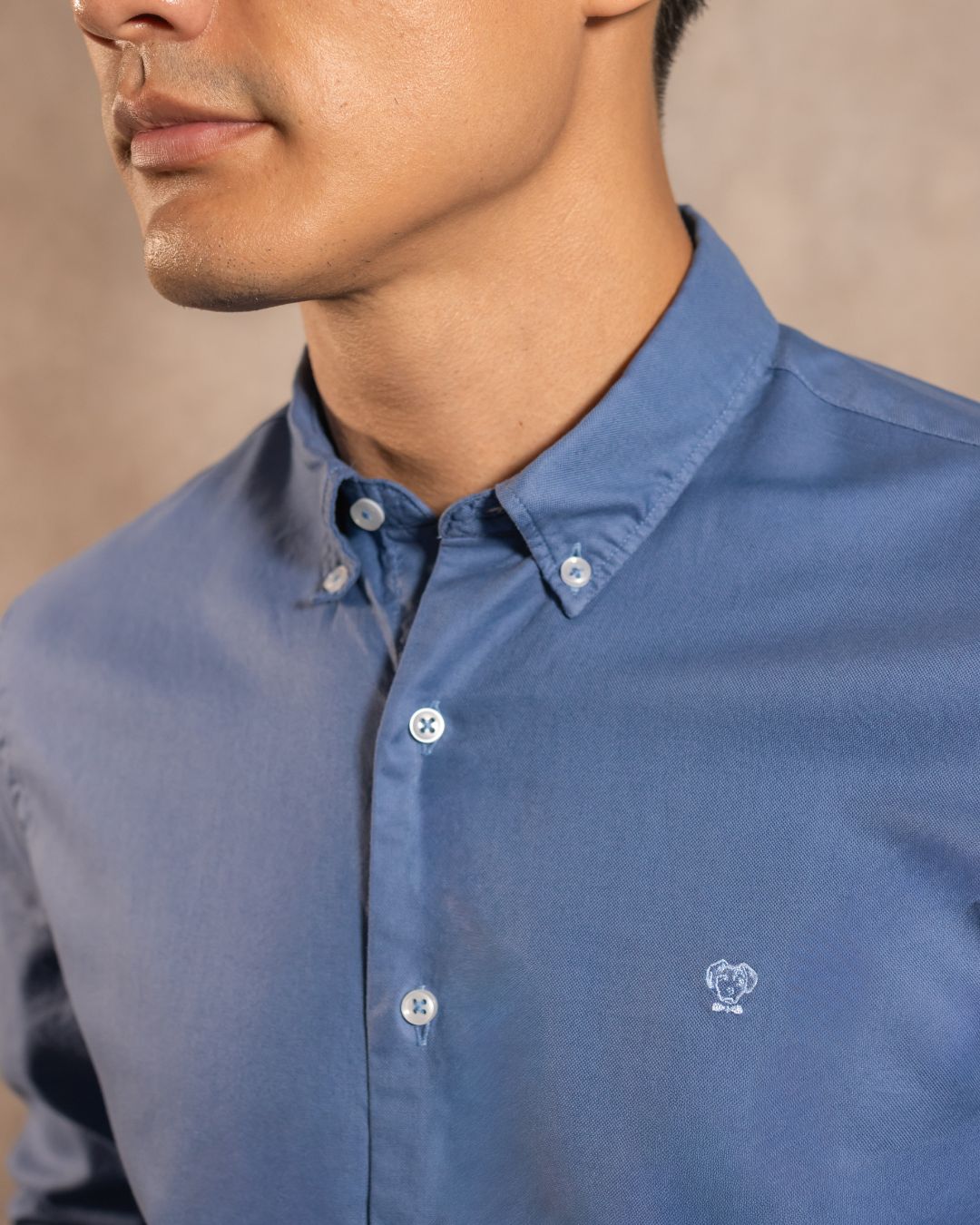 Camisa Antimanchas Oxford Azul Chino - Talla Regular