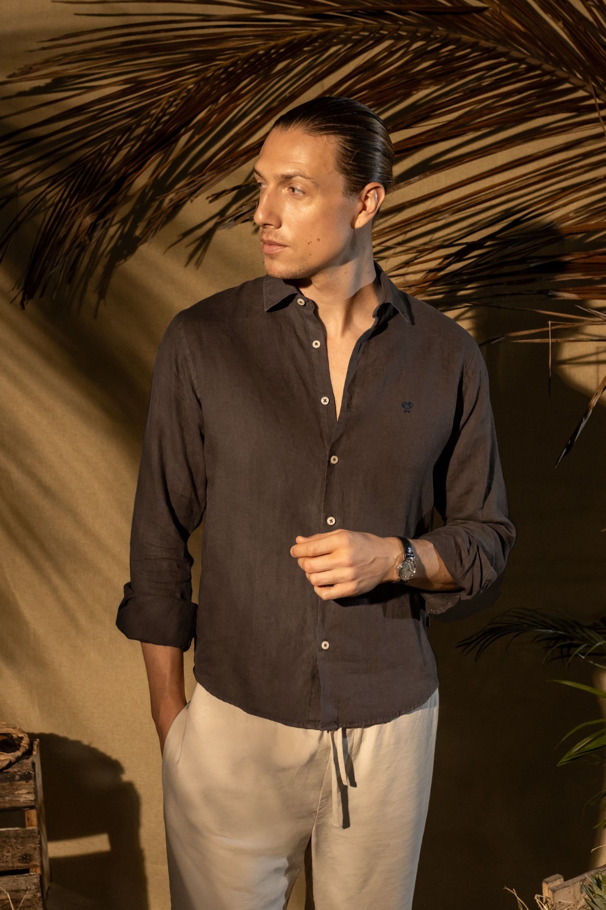 Camisa Lino Expresso