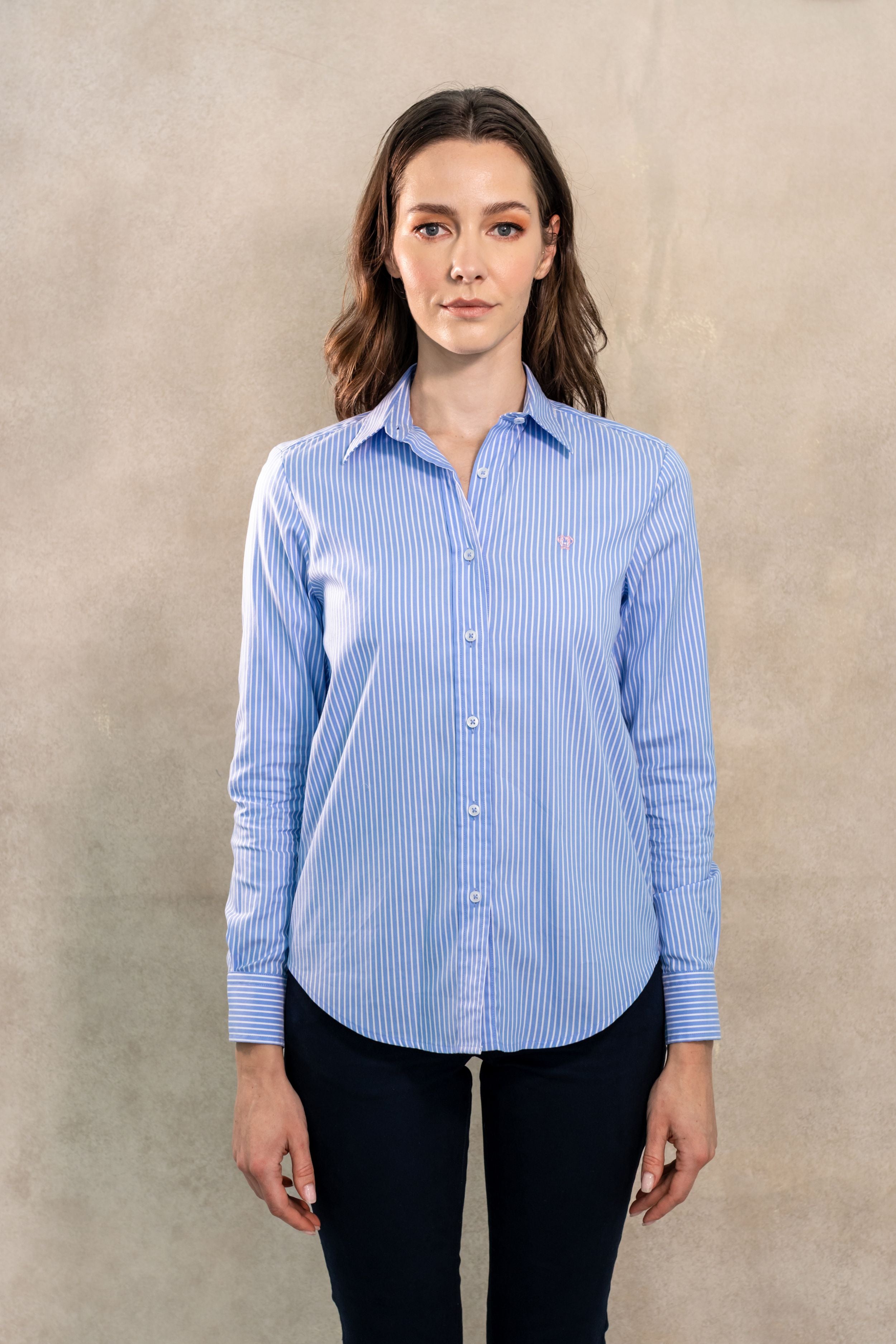 Camisa Antimanchas Oxford de Mujer Rayas Azul Princeton